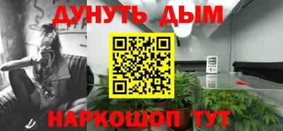 соль ск Будённовск